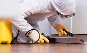 Real Estate Pest Inspections in Fife Heights, WA